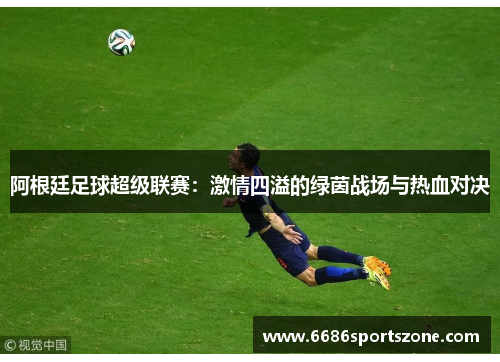 阿根廷足球超级联赛：激情四溢的绿茵战场与热血对决