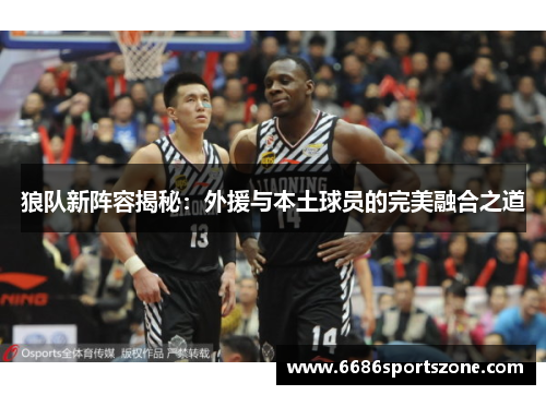 狼队新阵容揭秘：外援与本土球员的完美融合之道